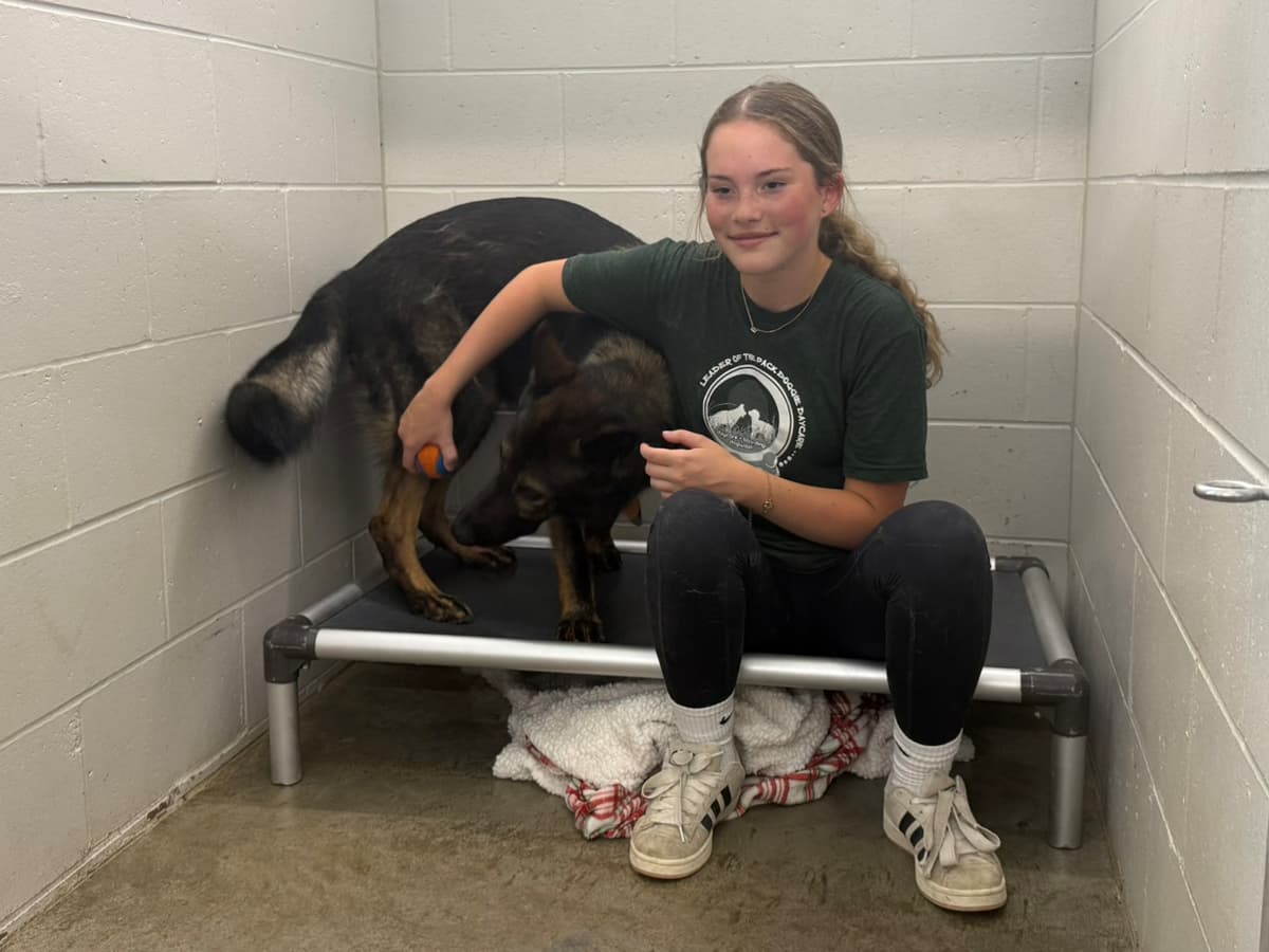 Dog resting with a handler on a Kuranda bed in a boarding suite