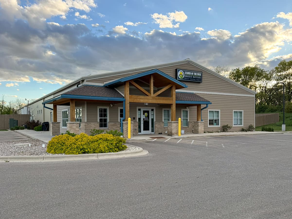 Leader of the Pack Doggie Daycare facility in Sun Prairie, Wisconsin, golden hour