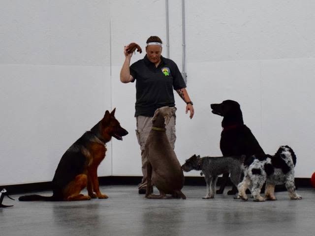 Mary with the first group of dogs inside the finished building on opening day