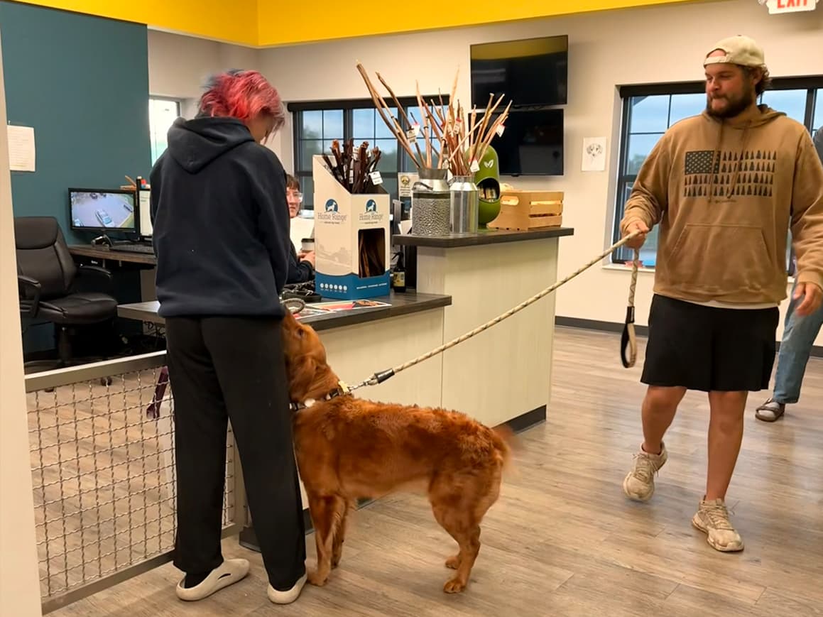 Dog arriving for grooming appointment, handler greeting at door